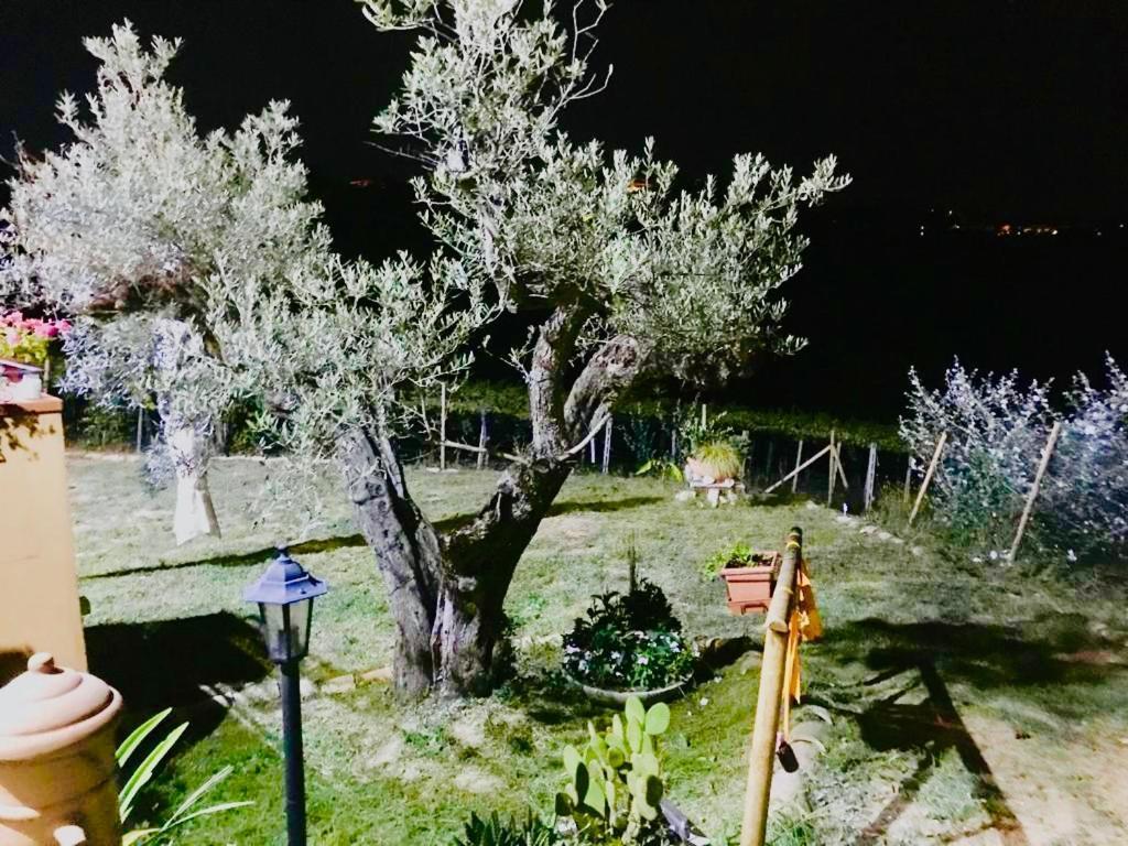 Villa Sarno Montesilvano Marina エクステリア 写真